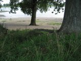 img025.jpeg.small.jpeg