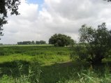 img030.jpeg.small.jpeg