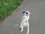 img033.jpeg.small.jpeg