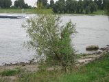 img035.jpeg.small.jpeg