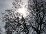 img020.jpeg.small.jpeg