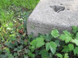 img000.jpeg.small.jpeg