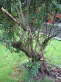 img024.jpeg.small.jpeg