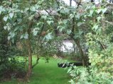 img031.jpeg.small.jpeg