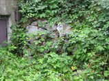 img036.jpeg.small.jpeg