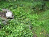 img038.jpeg.small.jpeg