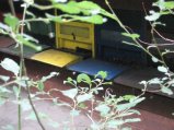 img046.jpeg.small.jpeg